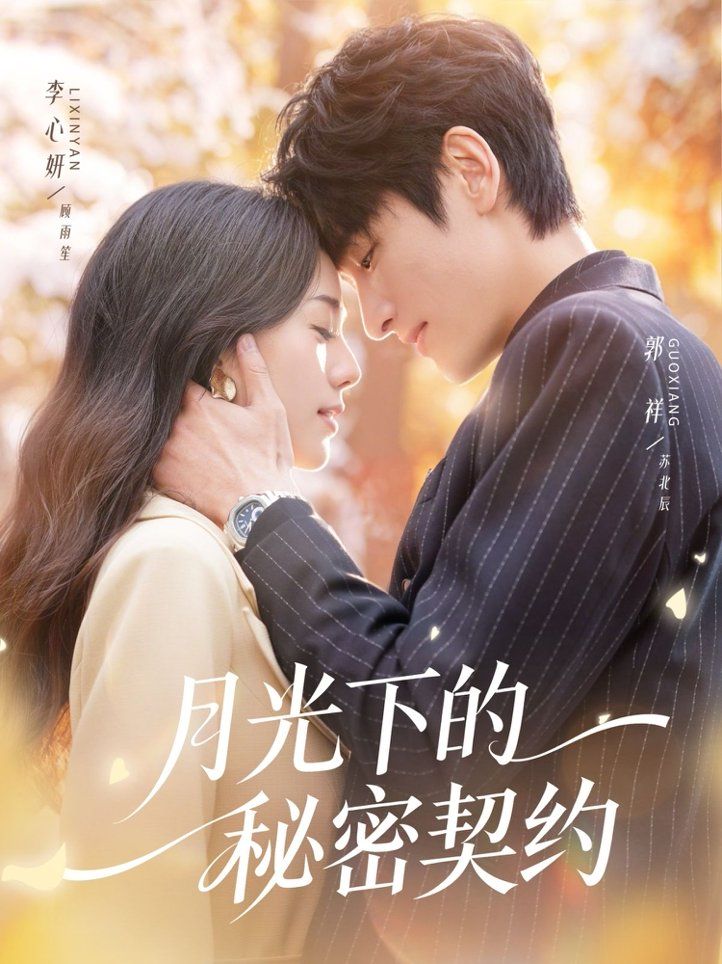 月光下的秘密契约 高清封面