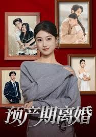 预产期离婚 封面