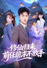 修仙归来：前任跪求不放手 高清封面