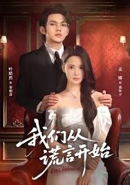 我们从谎言开始 封面