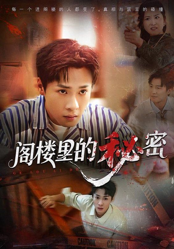 阁楼里的秘密 高清封面