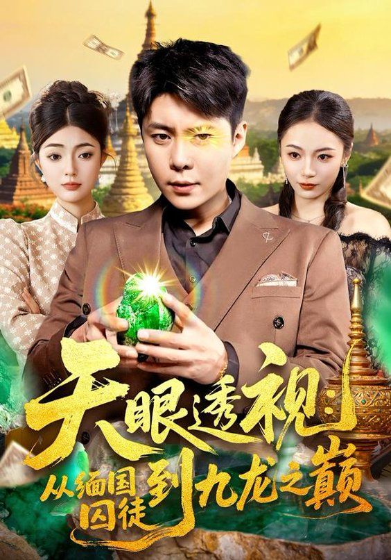 天眼透视：从缅国囚徒到九龙之巅 高清封面