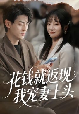花钱就返现：我宠妻上头 封面