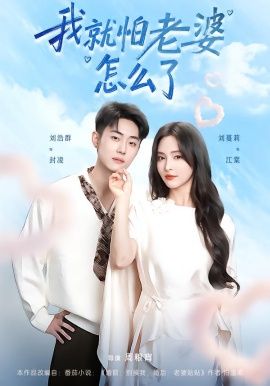 我就怕老婆怎么了 封面