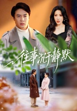 往事沉于静默 封面