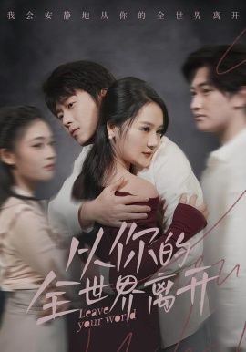 从你的全世界离开 高清封面