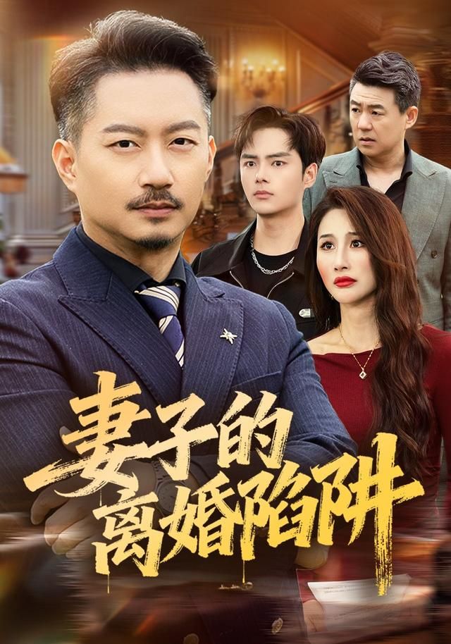 妻子的离婚陷阱 高清封面