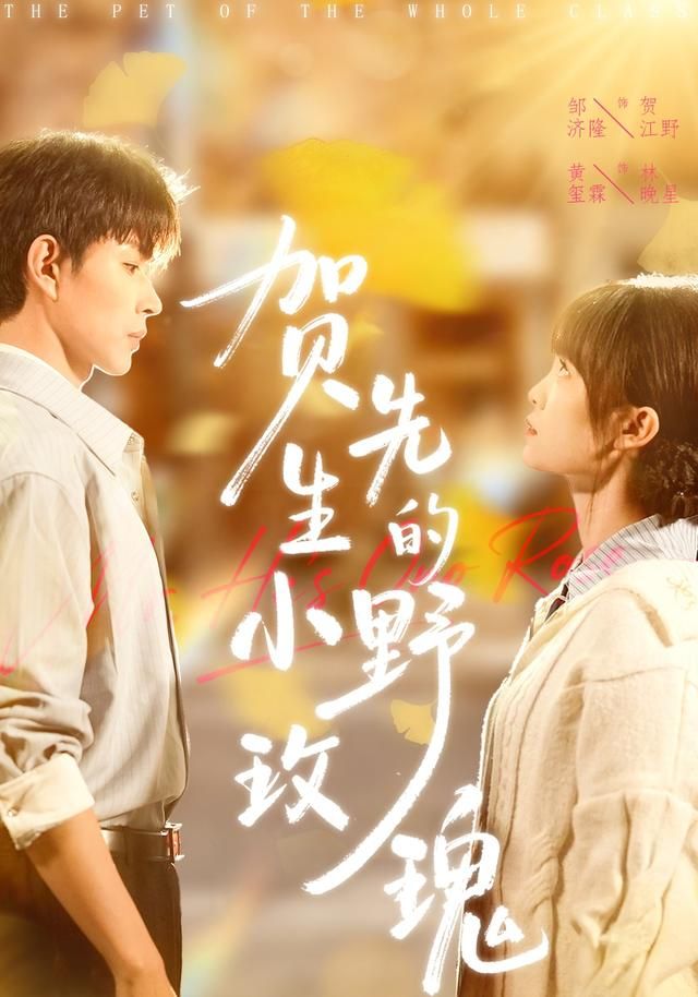 贺先生的小野玫瑰 高清封面