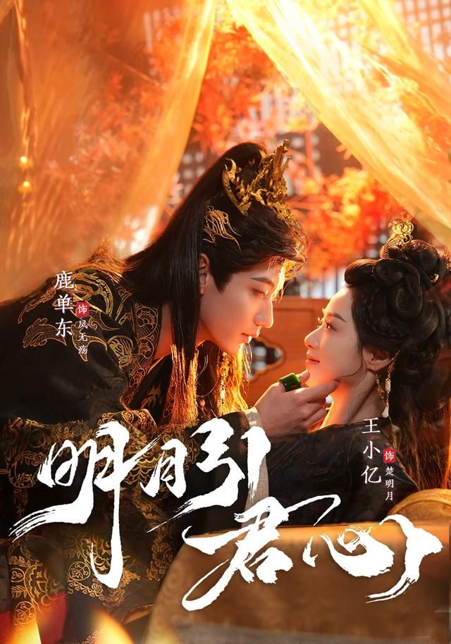 明月引君心 高清封面