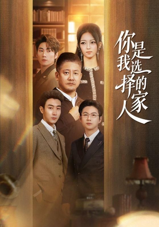 你是我选择的家人 高清封面