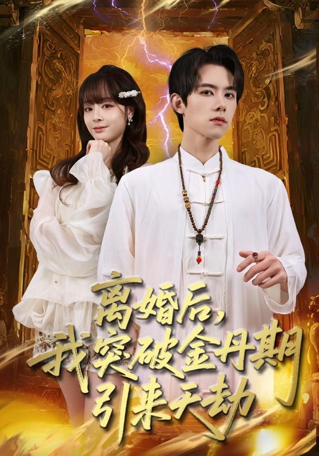 离婚后，我突破金丹期，引来天劫 封面