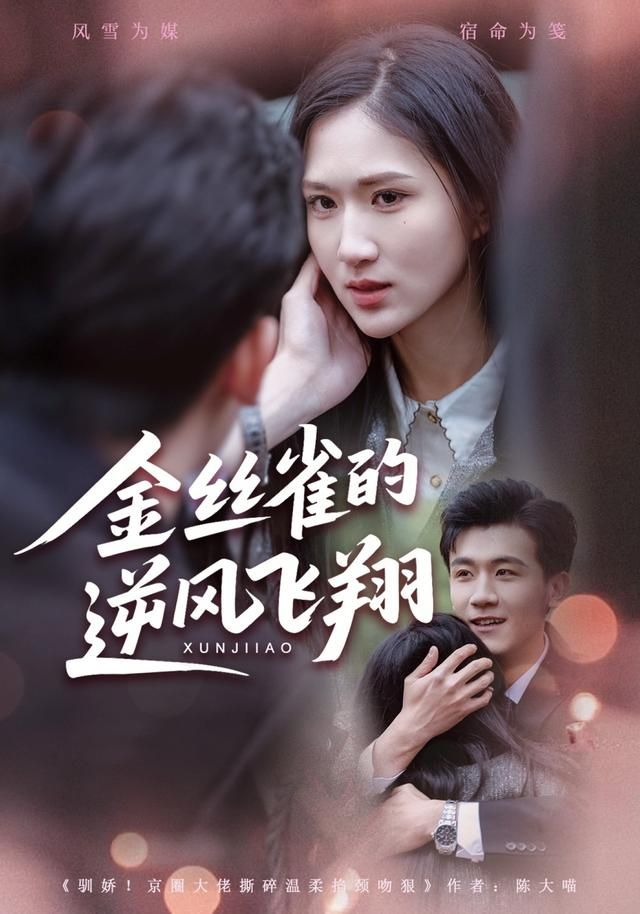 金丝雀的逆风飞翔 封面