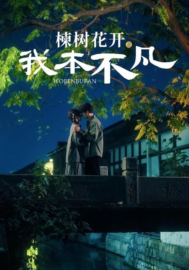 楝树花开之我本不凡 封面