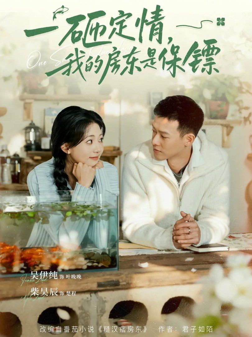 一砸定情，我的房东是保镖 封面