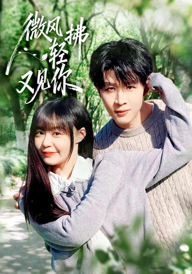 微风轻拂又见你 封面