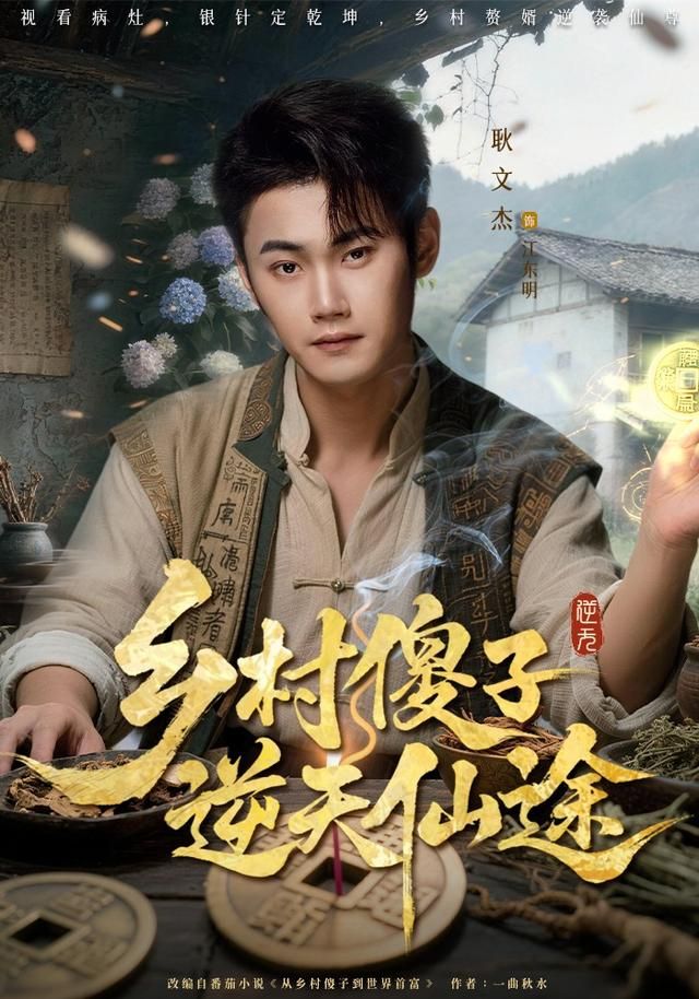 乡村傻子逆天仙途 高清封面