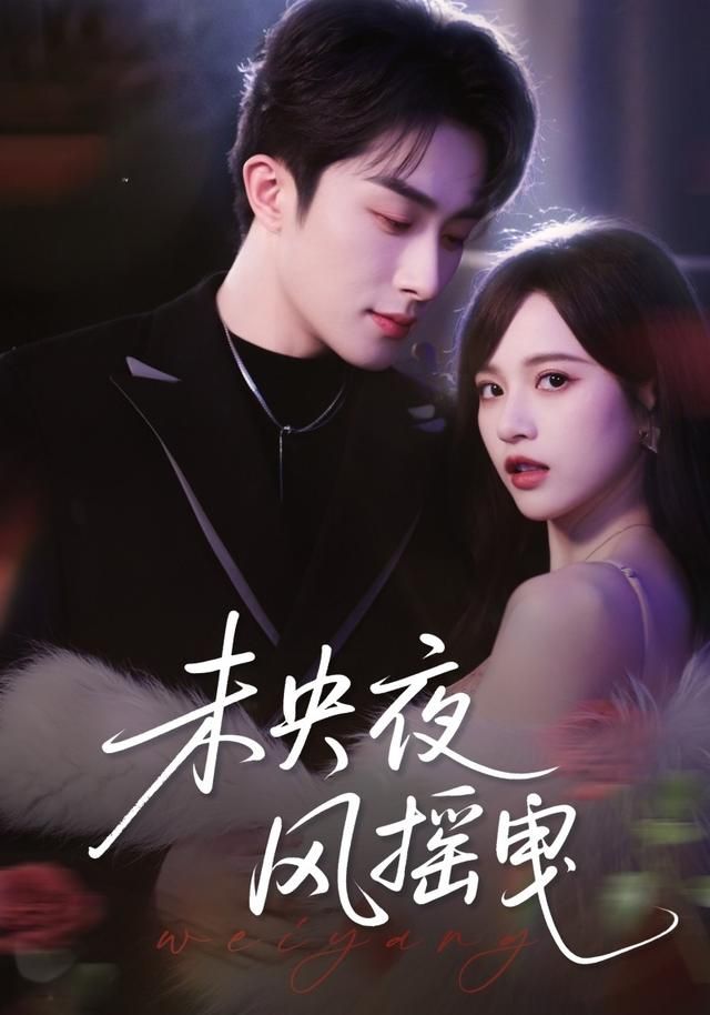 未央夜风摇曳 封面