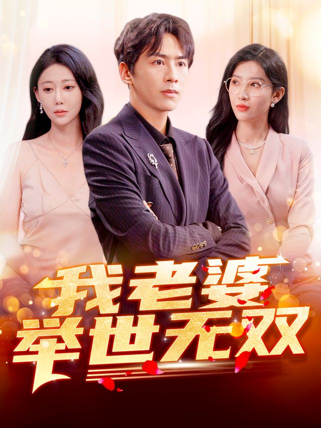 我老婆举世无双 高清封面
