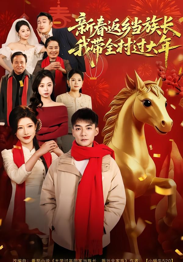 新春返乡当族长，我带全村过大年 高清封面