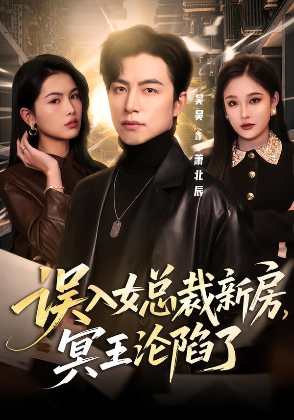 误入女总裁新房，冥王沦陷了 封面