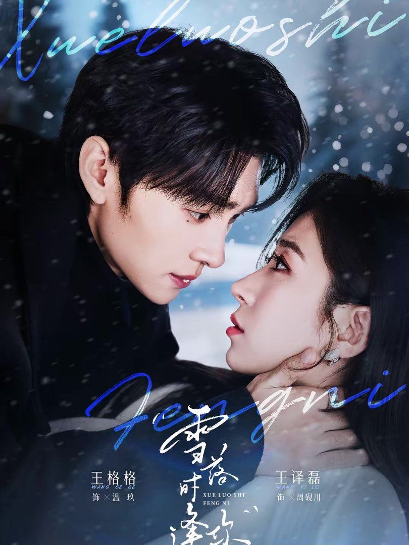 雪落时逢你 封面