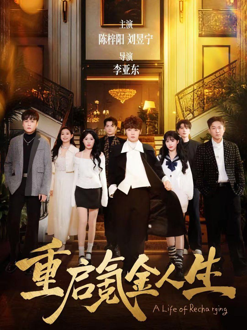 重启氪金人生 高清封面