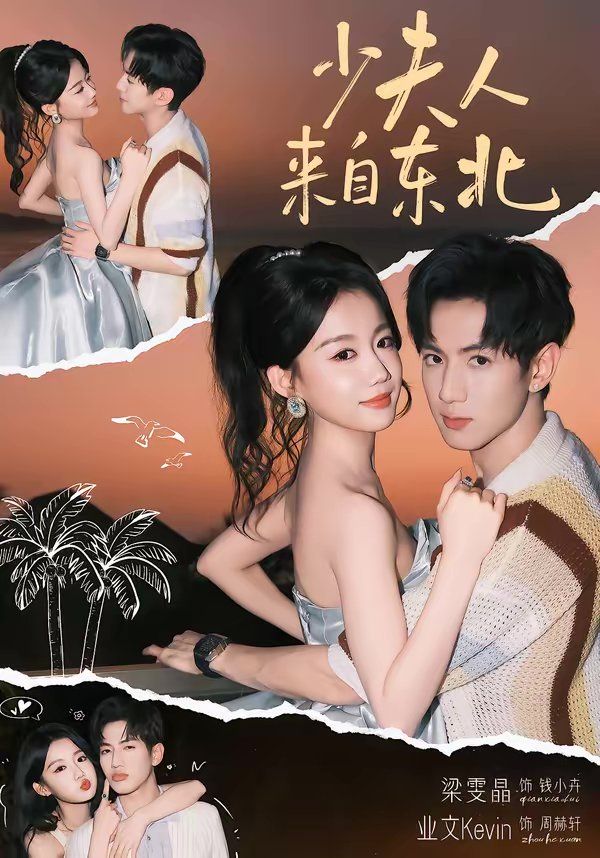 少夫人来自东北 封面