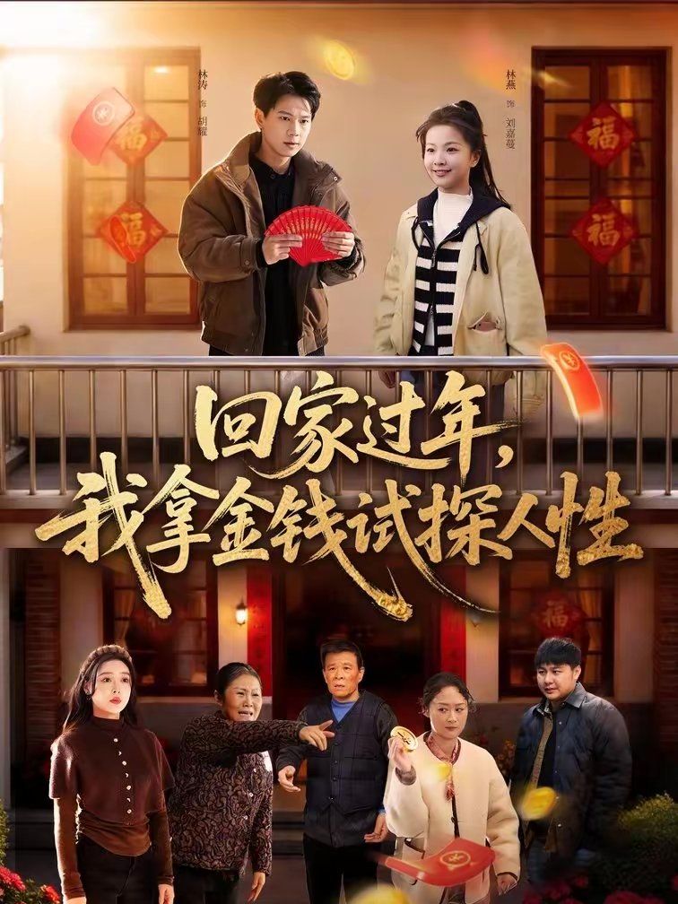回家过年，我拿金钱试探人性 高清封面