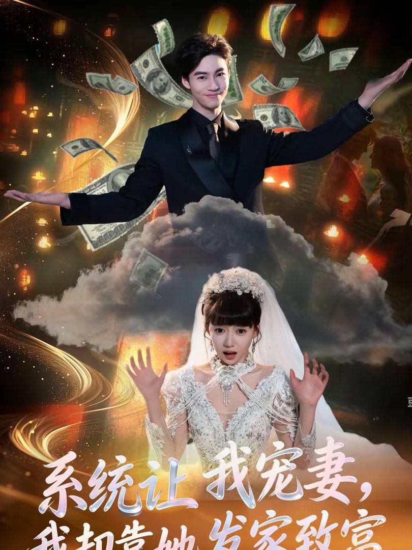 系统让我宠妻，我却靠她发家致富 封面
