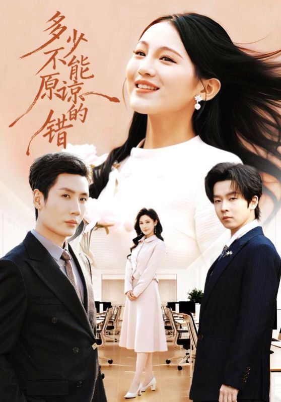 多少不能原谅的错 封面