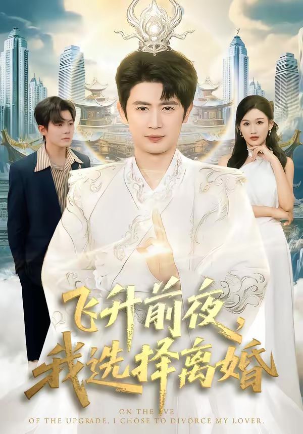 飞升前夜，我选择离婚 封面