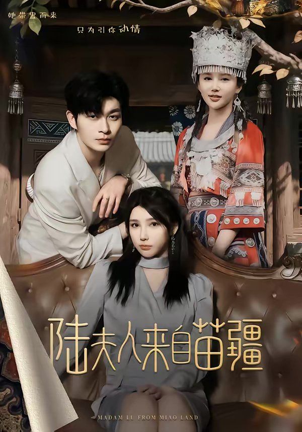 陆夫人来自苗疆 封面