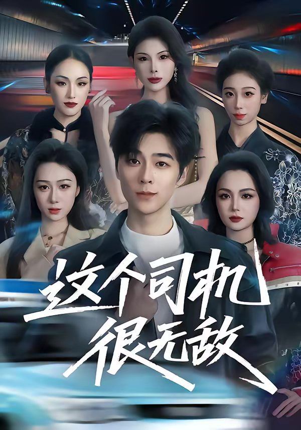 这个司机很无敌 封面