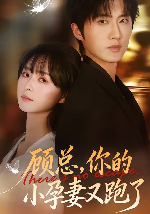 顾总，你的小孕妻又跑了 热播剧封面