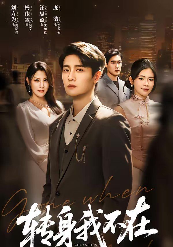 转身我不在 封面