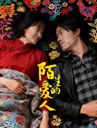 陌生的爱人 封面