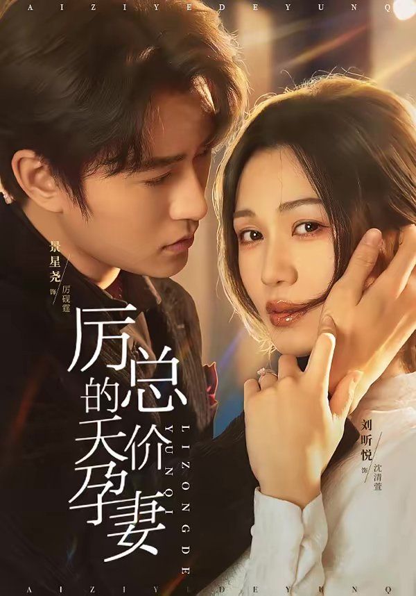 厉总的天价孕妻 高清封面