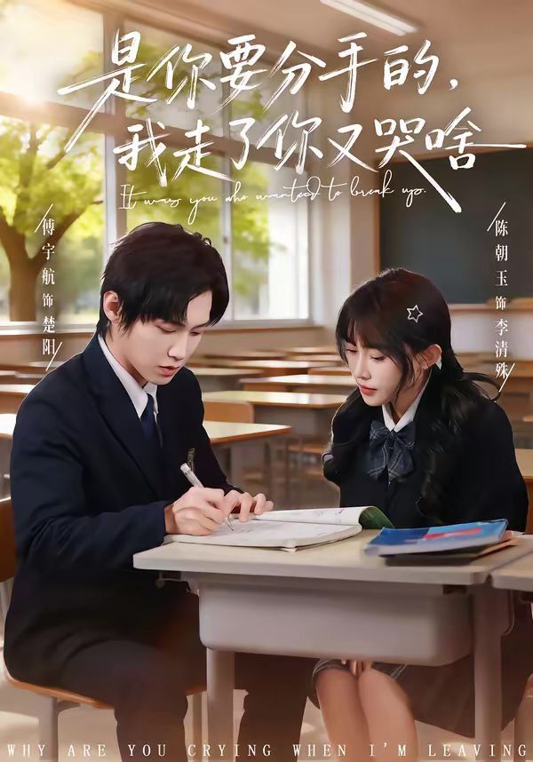 是你要分手的，我走了你又哭啥 封面