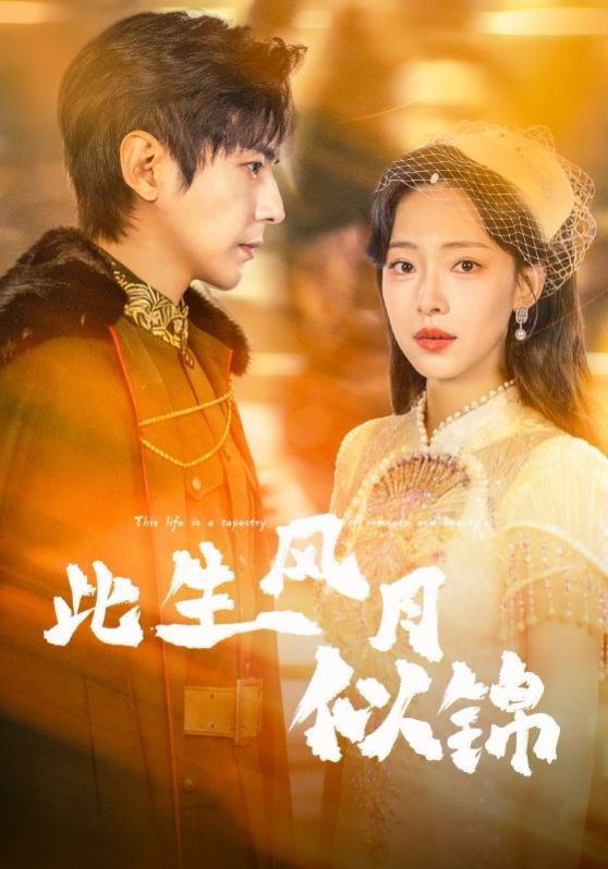 此生风月似锦 封面