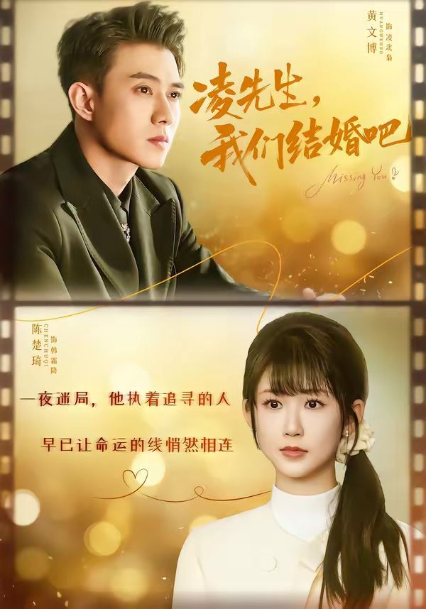 凌先生，我们结婚吧 封面