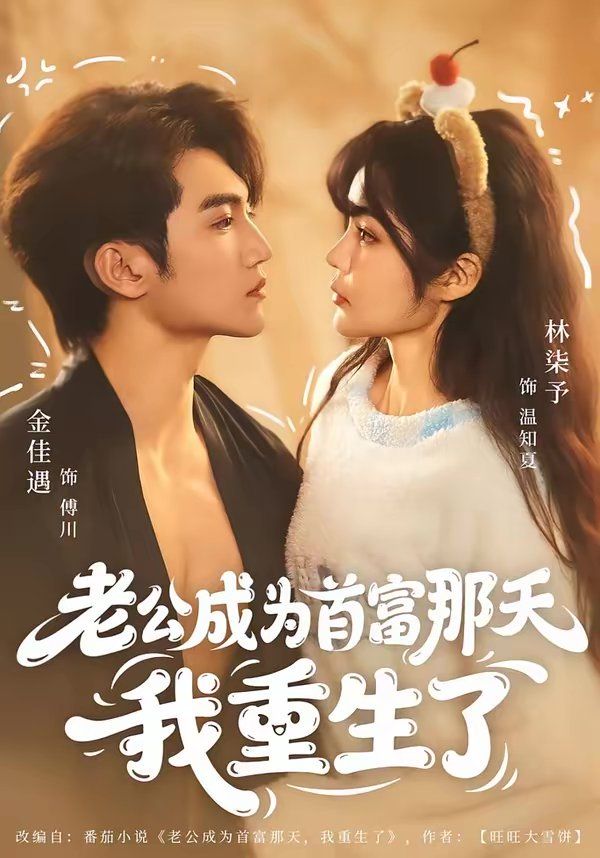 老公成为首富那天我重生了 高清封面