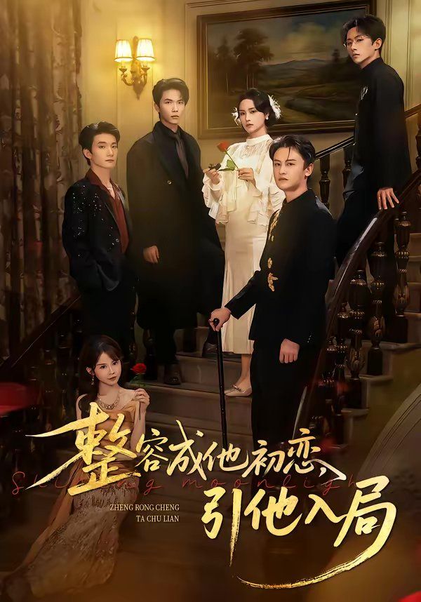 整容成他初恋，引他入局 高清封面