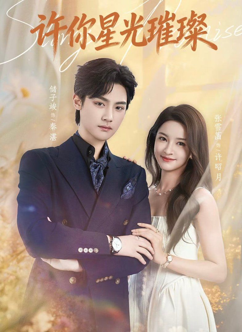许你星光璀璨 高清封面