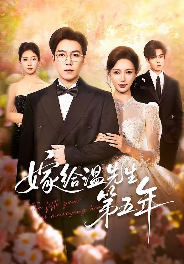 嫁给温先生第五年 封面