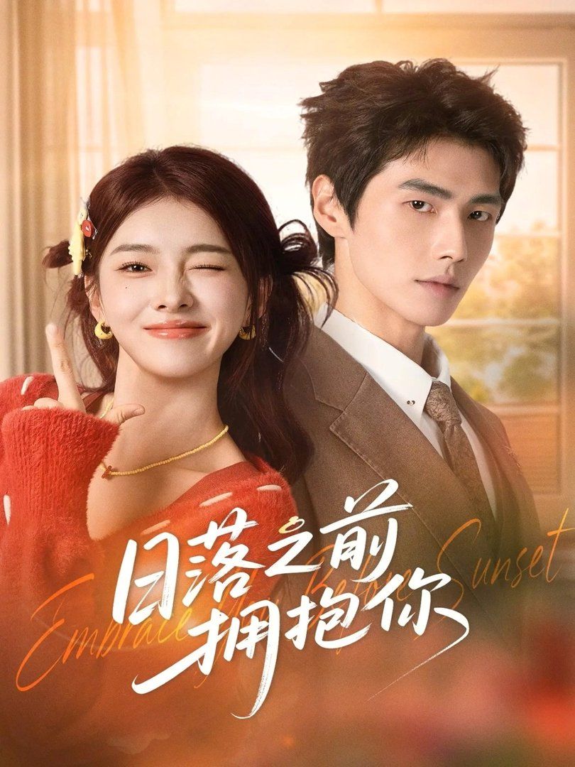 日落之前拥抱你 高清封面