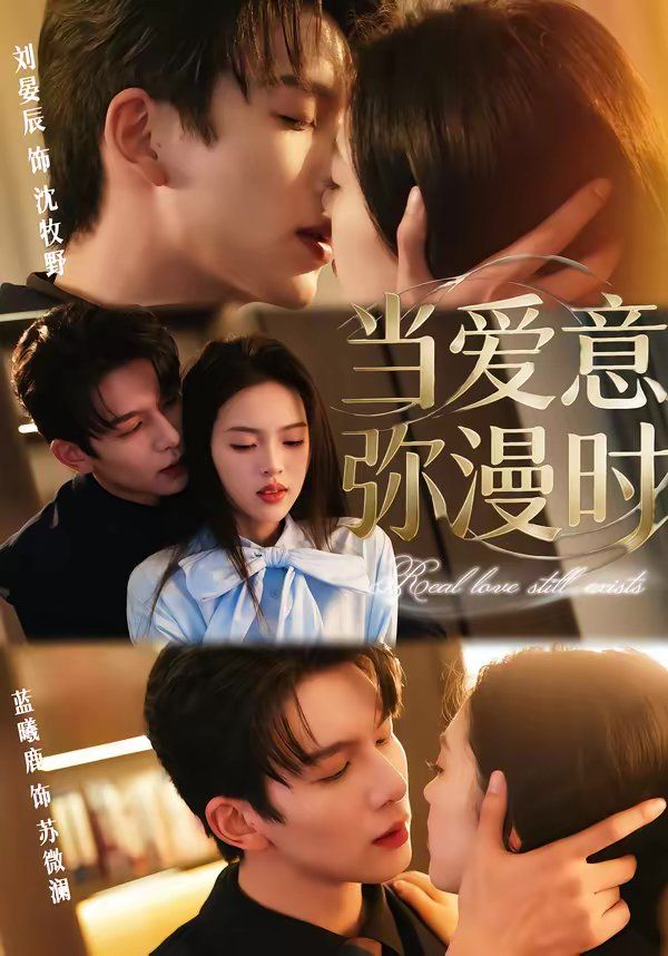 当爱意弥漫时 封面