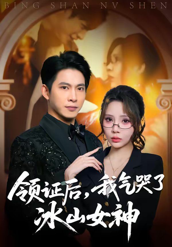 领证后，我气哭了冰山女神 高清封面