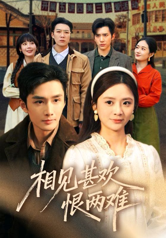 相见甚欢恨两难 封面