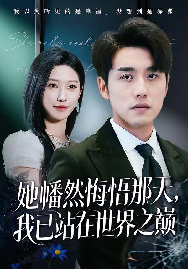她幡然悔悟那天，我已站在世界之巅 高清封面