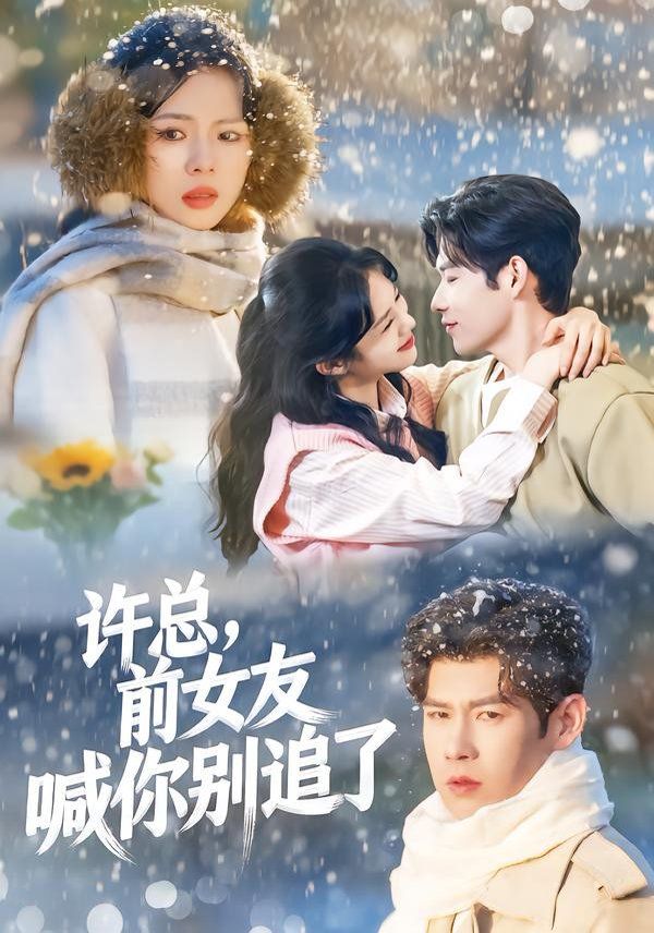 许总，前女友喊你别追了 封面